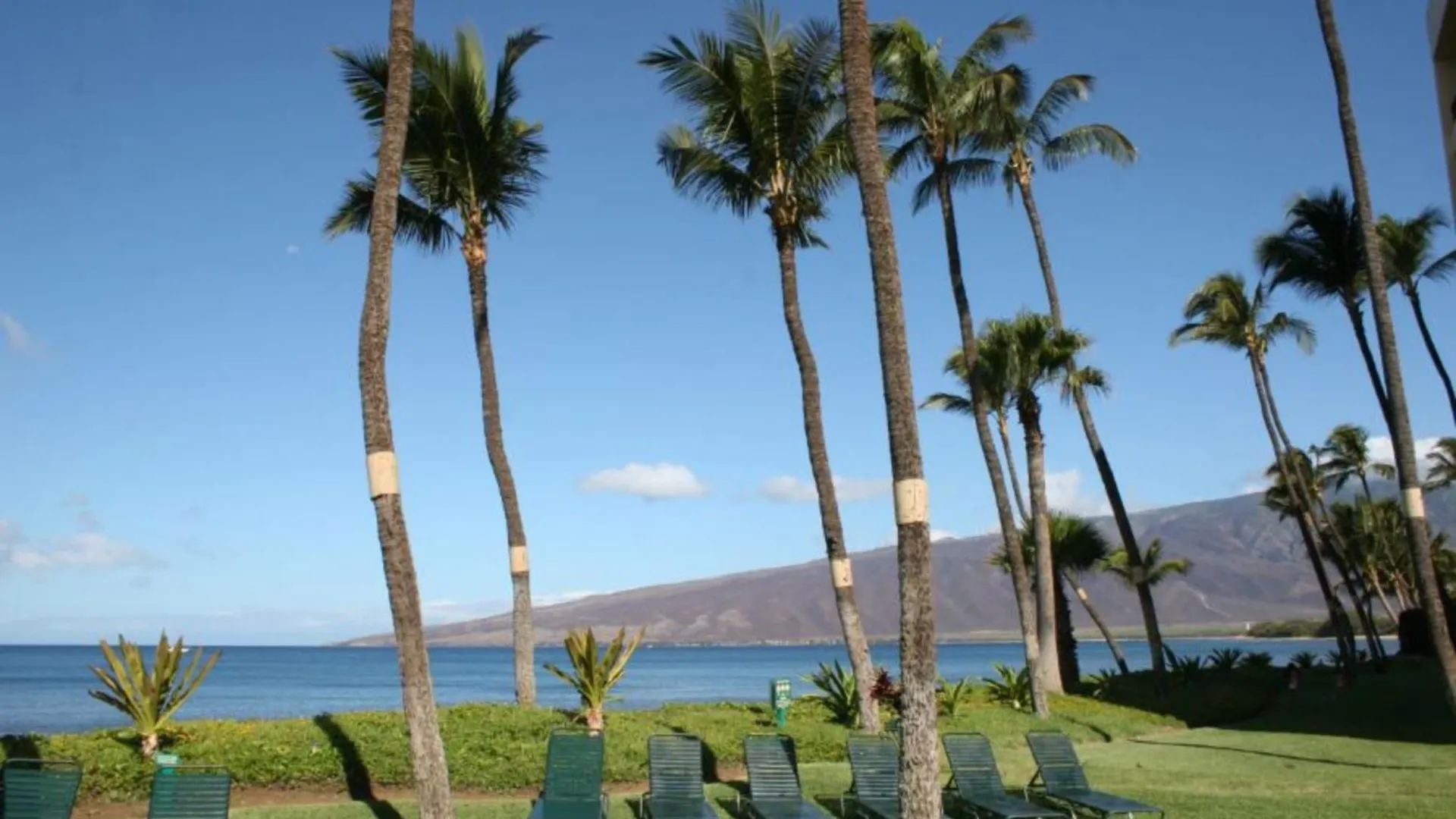Sugar Beach Resort, #524^ Condo Kihei United States